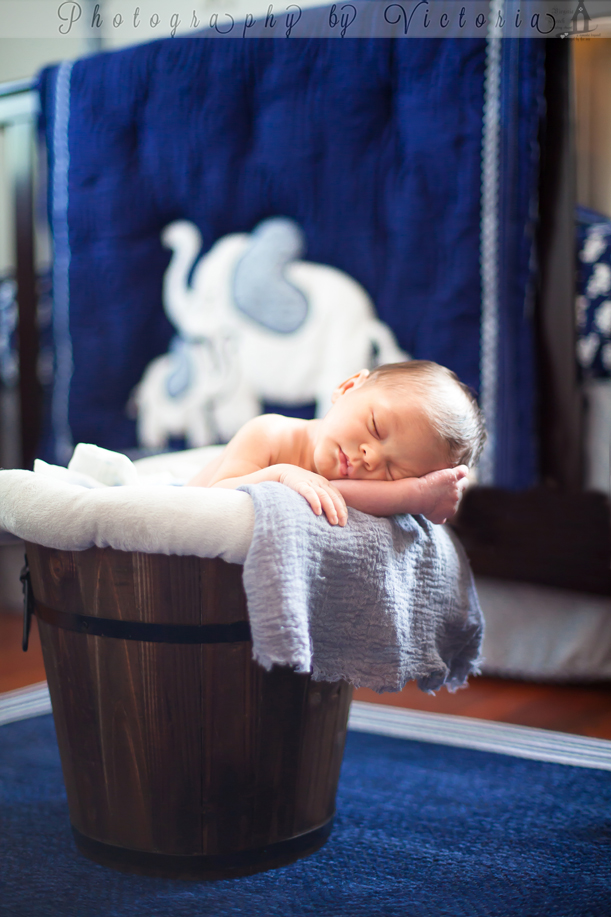 Maternity to Newborn: Baby Lucas